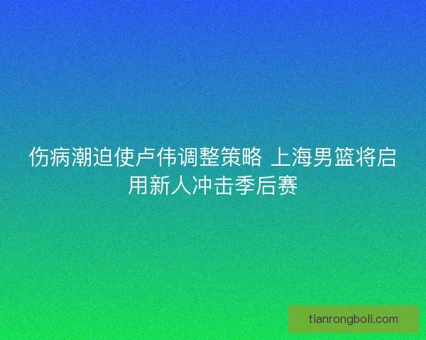 伤病潮迫使卢伟调整策略 上海男篮将启用新人冲击季后赛