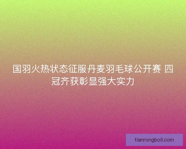 国羽火热状态征服丹麦羽毛球公开赛 四冠齐获彰显强大实力